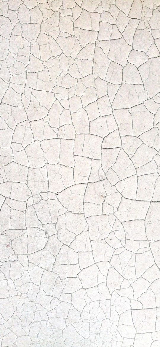 解析 App 首页输入界面，米色背景中一个待粘贴文本的大输入框，下方有示例条目提示